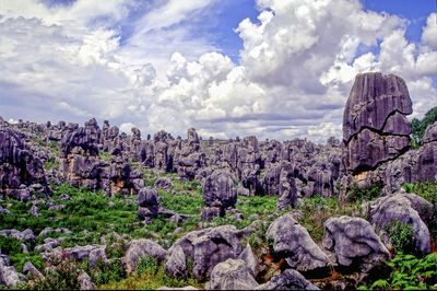 Panoramic view of trees and rocks against sky