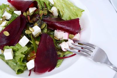 Close-up of meal served in plate