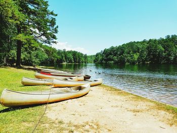 Boats moored on river by trees against clear sky