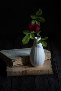 Close-up of potted plant on table