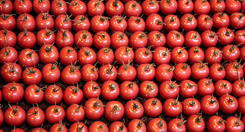 Full frame shot of red berries