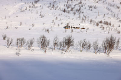 People skiing on snow covered field