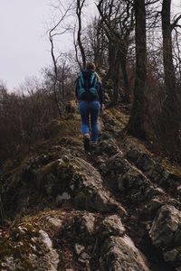 Rear view of man standing on rock in forest