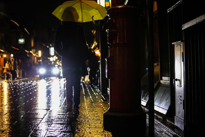 Rear view of a man at night