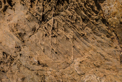 Full frame shot of rock on land