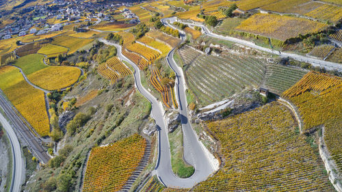 High angle view of agricultural field