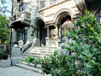 Potted plants against historic building