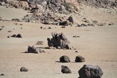 Rocks on sandy beach