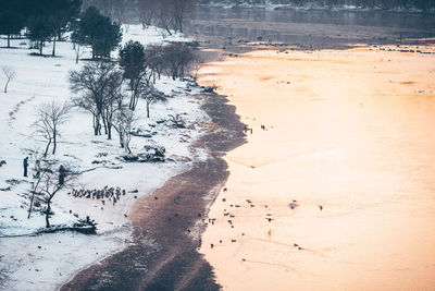 Scenic view of snow covered landscape