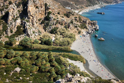 High angle view of sea and trees
