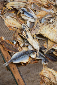 High angle view of dead fish on wood