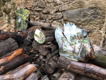 High angle view of rocks on tree trunk