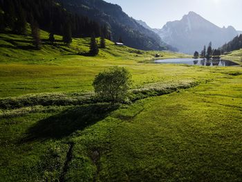 Scenic view of grassy field against mountains