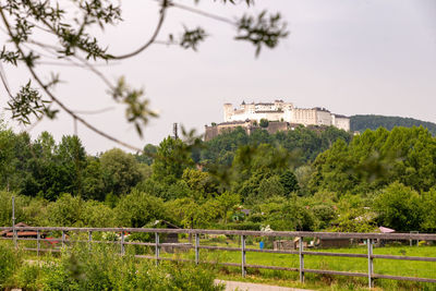 View of plants against built structure