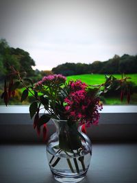 Close-up of flowers on table