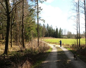 Senior woman with dog standing on road against sky in forest