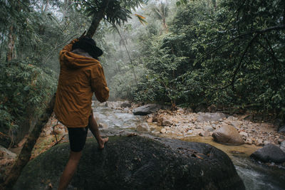 Rear view of man walking on rock in forest