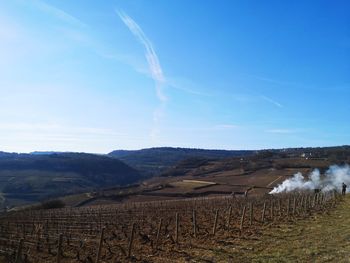 Scenic view of agricultural field against sky