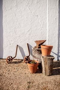 Close-up of potted plant against wall