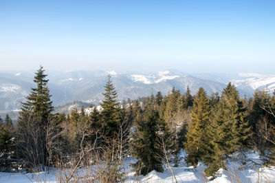 Frosty day on the top of the mountain