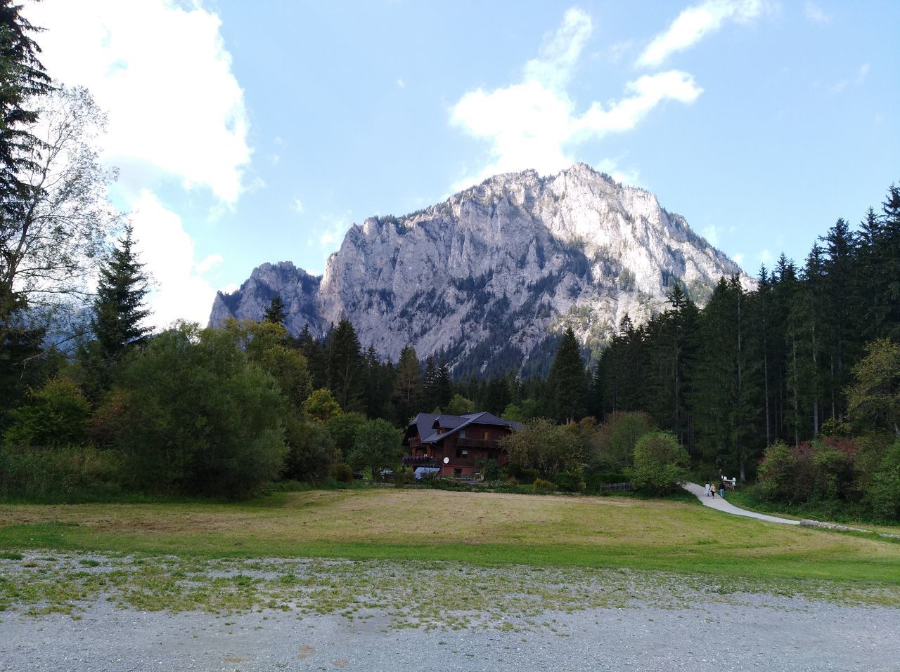 SCENIC VIEW OF LAND AND TREES AGAINST SKY