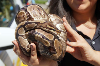 A python snake is curled up on the hand of a young woman. 