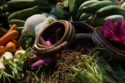 High angle view of pink flowering plants