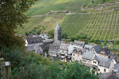 Wine fields against the  the  back drop of the town