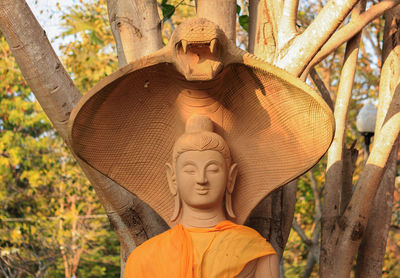 Close-up of buddha statue