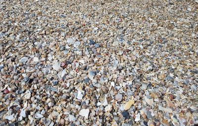 Full frame shot of pebbles on beach