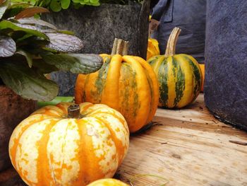 Close-up of pumpkins on table