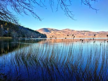 Scenic view of blue lake