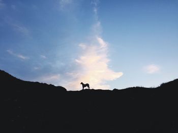 Silhouette man standing on land against sky