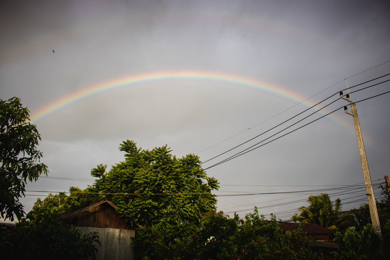 LOW ANGLE VIEW OF RAINBOW OVER TREES AND BUILDING