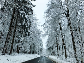 Road amidst trees during winter