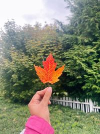 Cropped hand holding autumn leaf against sky