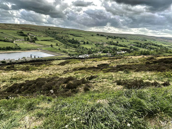 Scenic view of landscape against sky