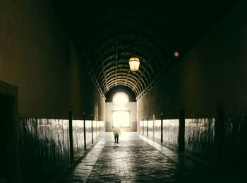 Rear view of man walking in corridor