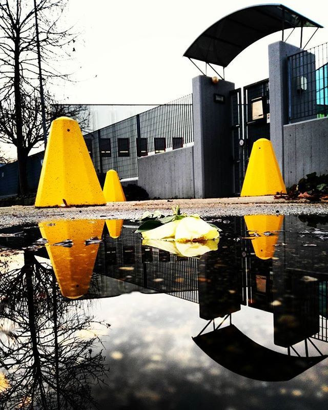 yellow, building exterior, architecture, built structure, food and drink, reflection, tree, sky, freshness, day, outdoors, drink, water, no people, clear sky, fruit, refreshment, sunlight, glass - material, table