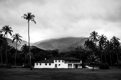 Scenic view of palm trees and houses against sky