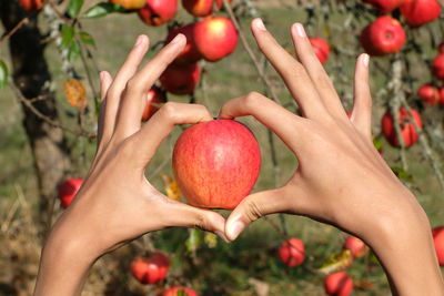 Heart hands hold one fresh red apple. clear blue sky background. sign of love and health care.