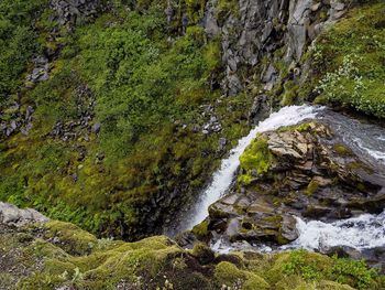 Scenic view of stream flowing through rocks