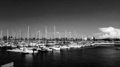 Sailboats moored on harbor against sky