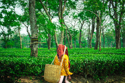 Woman in basket on field