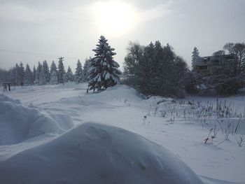 Scenic view of snow covered landscape