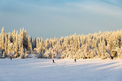 Panoramic view of people on snow field against sky