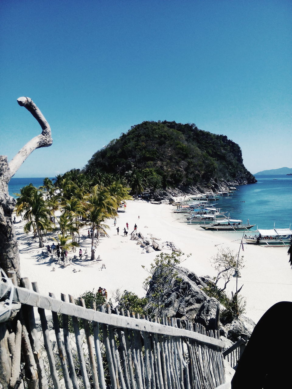 sea, water, clear sky, blue, tree, scenics, tranquil scene, tranquility, beauty in nature, beach, nature, horizon over water, copy space, mountain, shore, sunlight, rock - object, idyllic, palm tree, day