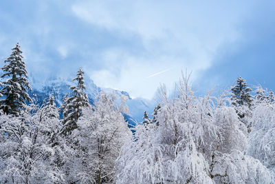 winter