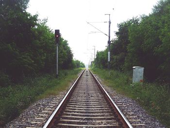 Railroad track along trees