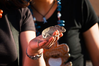 Close-up of hands holding bird